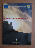 Campulung Moldovenesc, repere turistice