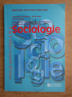 Doina Olga Stefanescu - Sociologie, manual pentru clasa a XI-a