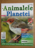 Revista Animalele planetei, nr. 66