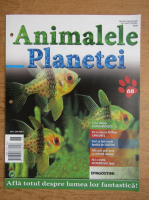 Revista Animalele planetei, nr. 68