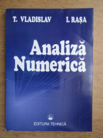 T. Vladislav, Ion Rasa - Analiza numerica