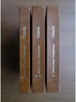Marie Anne Desmarest - Torente (3 volume)