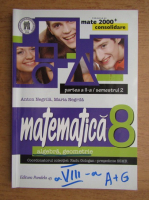 Anton Negrila, Maria Negrila - Matematica. Algebra, geometrie, clasa a VIII-a, partea a II-a (2014)