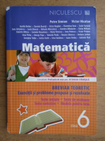 Petre Simion - Matematica, breviar teoretic, exercitii si probleme propuse si rezolvate pentru clasa a VI-a