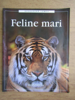 Descopera lumea. Feline mari