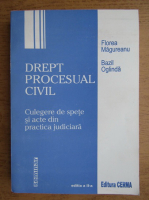 Florea Magureanu, Bazil Oglinda - Drept procesual civil. Culegere de spete si acte din practica judiciara (2000)