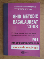 Ghid metodic bacalaureat 2008, matematica M1