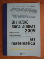 Ghid metodic bacalaureat 2009, matematica M1