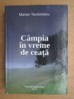 Marian Teodorescu - Campia in vreme de ceata