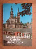 Anticariat: Micul Catehism Catolic de la Fluida