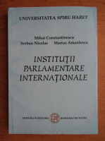 Mihai Constantinescu, Serban Nicolae, Marius Amzulescu - Institutii parlamentare internationale