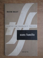 Hector Malot - Sans famille