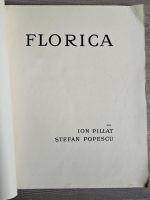 Ion Pillat, Stefan Popescu - Florica (cu autograful autorilor, 1926) lipsa coperti