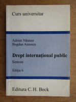 Adrian Nastase - Drept international public. Sinteze. Editia 6