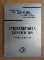Ioan Muraru - Interpretarea Constitutiei