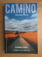 Veronica Dragoi - Camino, 800 de kilometri pe jos