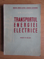 A. M. Zaleschi - Transportul energiei electrice