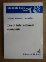 Adrian Nastase - Drept international economic