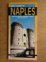 New guide to Naples and surrounding area