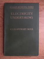 Organization and administration of the electricity undertaking (1925)