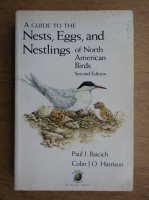 Paul J. Baicich - A guide to the nests, eggs and nestlings of North American birds