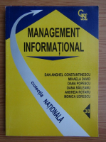 Dan Anghel Constantinescu - Managementul informational