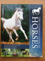 The ultimate guide to horses