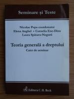 Nicolae Popa - Teoria generala a dreptului, caiet de seminar