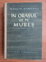 Anticariat: Francisc Munteanu - In orasul de pe Mures