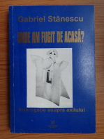 Gabriel Stanescu - Unde am fugit de acasa?