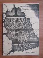Hunedoara. O cronica a revolutiei romane din 1989