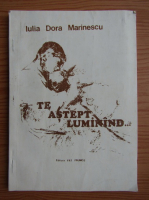 Iulia Dora Marinescu - Te astept luminand