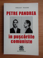 Stelian Neagoe - Petre Pandrea in puscariile comuniste