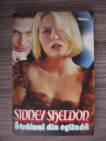 Sidney Sheldon - Strainul din oglinda