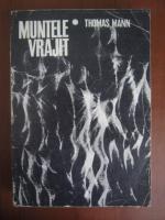Anticariat: Thomas Mann - Muntele vrajit