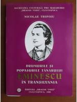 Nicolae Trifoiu - Drumurile si popasurile tanarului Eminescu in Transilvania