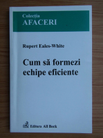 Rupert Eales-White - Cum sa formezi echipe eficiente