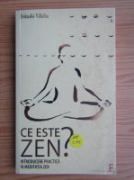 Dokusho Villalba - Ce este Zen? Introducere in meditatia zen
