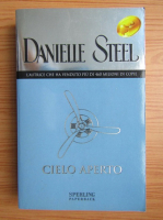 Danielle Steel - Cielo aperto
