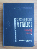 Anticariat: Dan Mateescu - Constructii metalice. Exemple de calcul