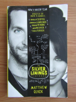 Matthew Quick - The silver linings playbook