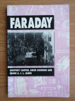 Geoffrey Cantor - Faraday