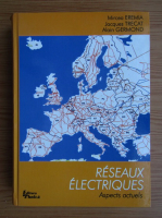Mircea Eremia - Reseaux electriques. Aspects actuels