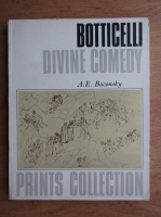 A. E. Baconsky - Divine comedy