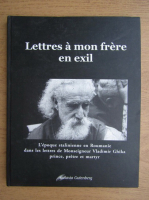 Lettres a mon frere en exil