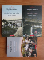 Naghib Mahfuz - O plimbare prin palat. Palatul dorintei. Strada zaharului (Trilogia Cairoului, 3 volume)