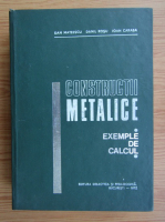 Dan Mateescu - Constructii metalice. Exemple de calcul