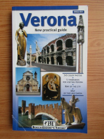 Renzo Chiarelli - Verona. New practical guide