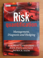 Laurent Condamin - Risk quantification