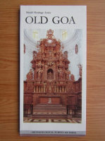 Old Goa, archaeologic survey of India